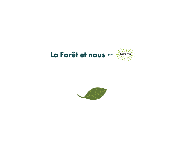 La Forêt et Nous par Teragir